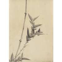 Read Ink & Drop Reviews